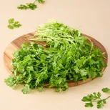 Coriander/Cilantro