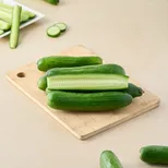 European Cucumber